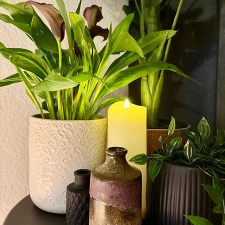 דירה Schwebebahn View וופרטל